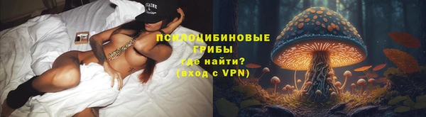 меф Алексин