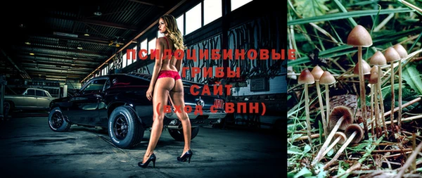 меф Алексин