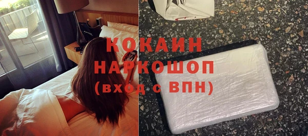 молекула духа Няндома