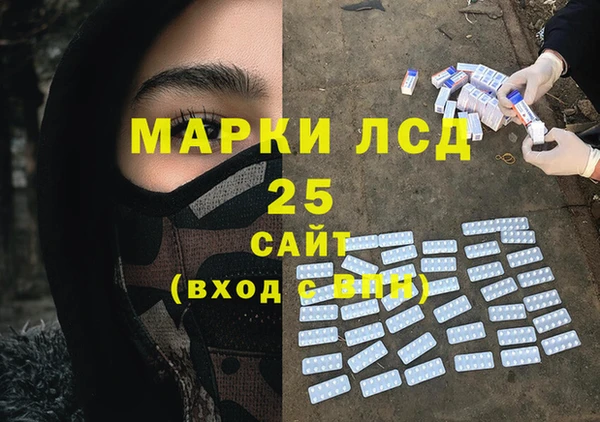стаф Алзамай