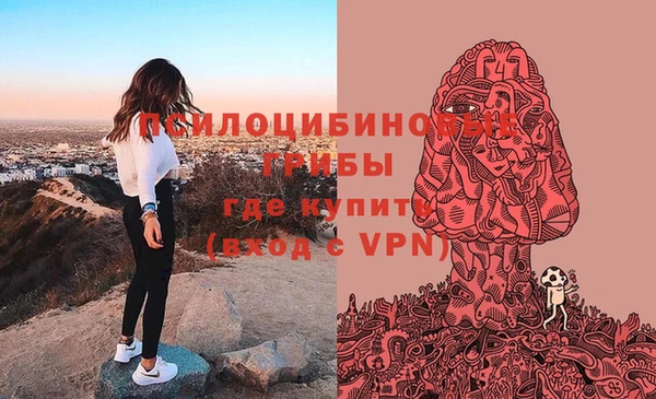 стаф Алзамай