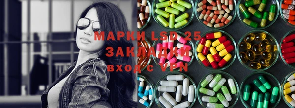 стаф Алзамай