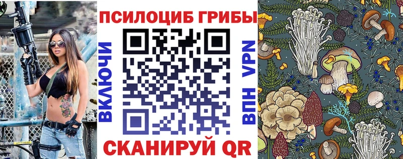 наркошоп  Полевской  Псилоцибиновые грибы MAGIC MUSHROOMS 